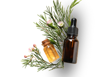 Tea Tree Oil
